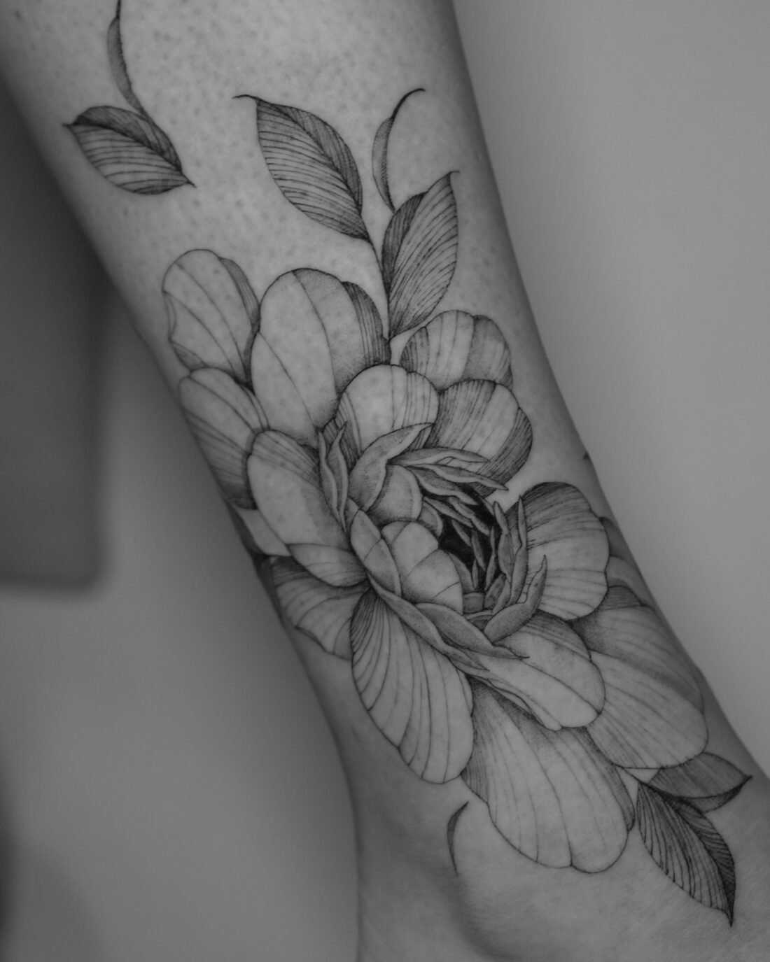 Botánica, tatuaje de Elena Navarro en Valencia